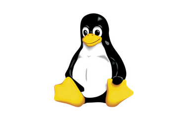 LinuxとNodejsでプログラミング